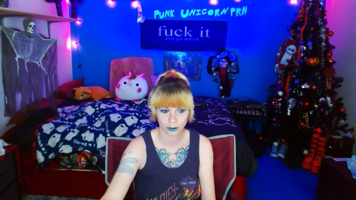 PunkUnicorn
