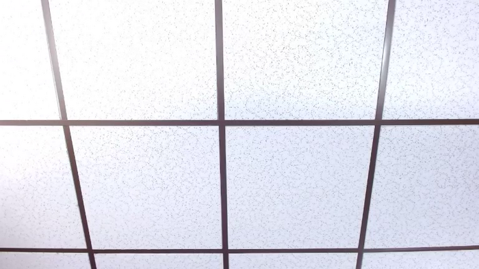 Alex_Dinero