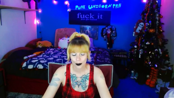 PunkUnicorn