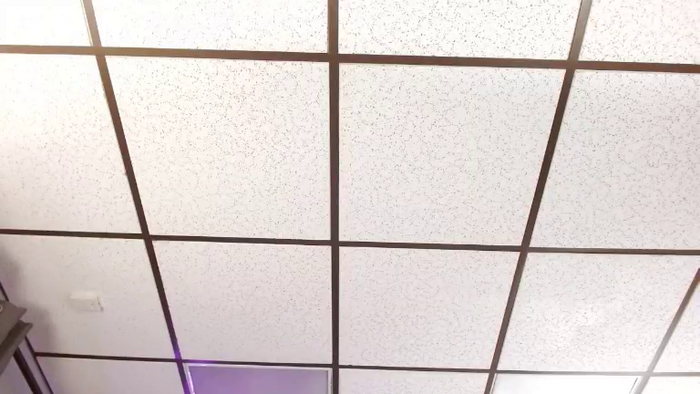 Alex_Dinero