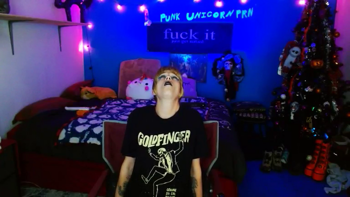 PunkUnicorn