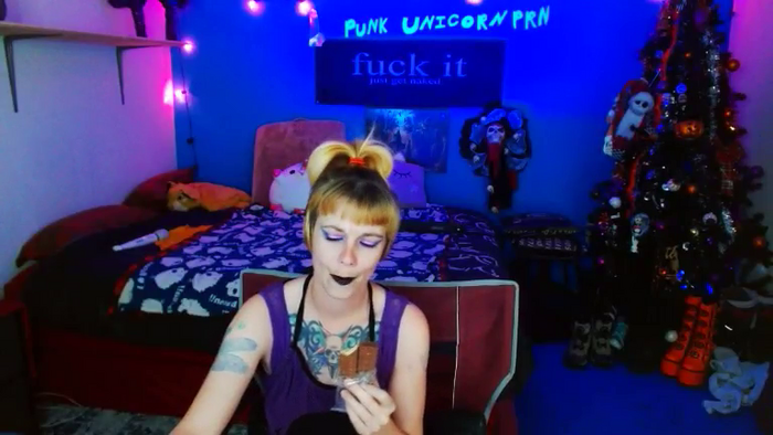PunkUnicorn
