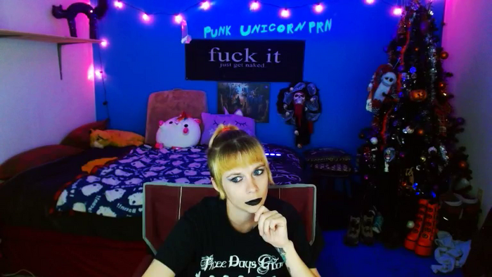 PunkUnicorn
