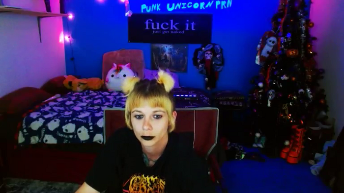 PunkUnicorn
