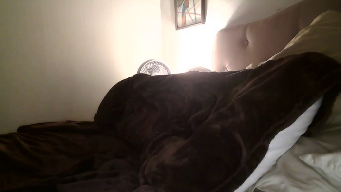 Yourmorningwakeupcall