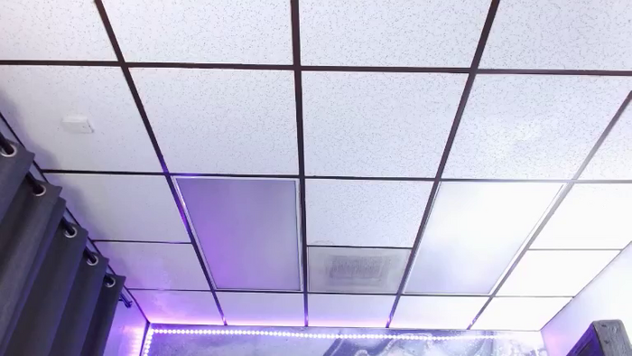 Alex_Dinero