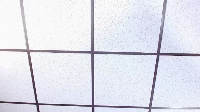 Alex_Dinero