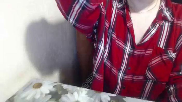 LilyDreamy