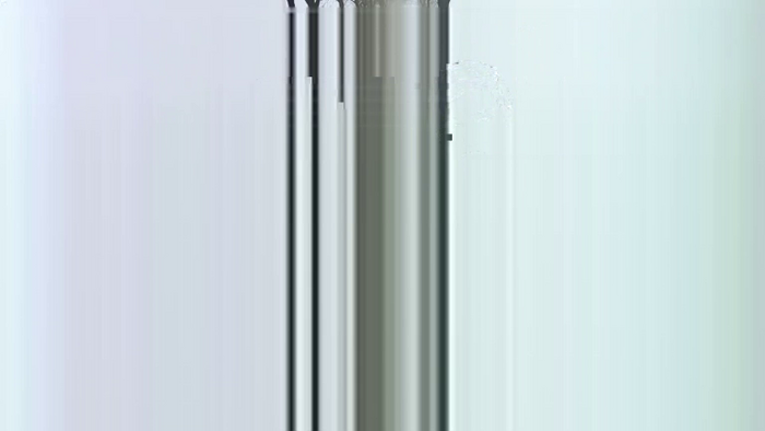 SilveraStrain