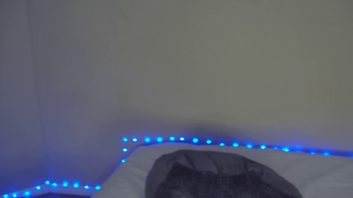 Bella_shine