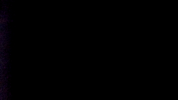SashaNels