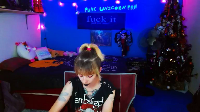 PunkUnicorn