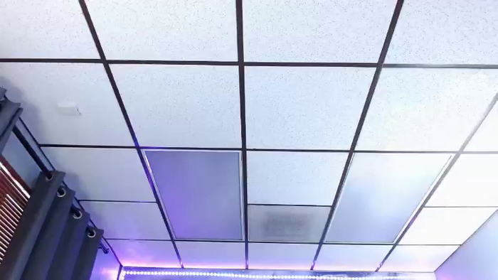 Alex_Dinero