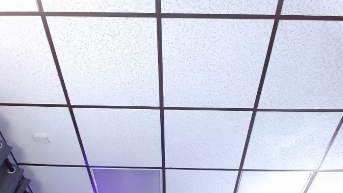 Alex_Dinero