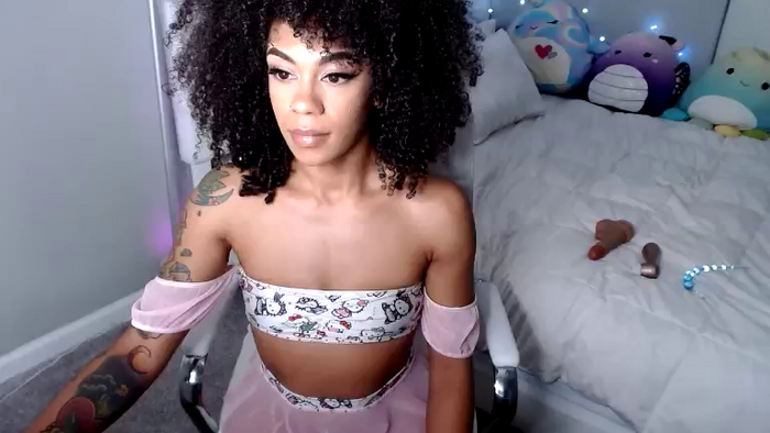 Nikayasworld