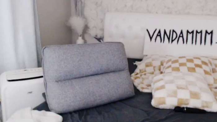 VanDammm