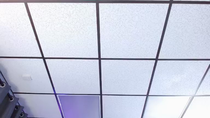 Alex_Dinero