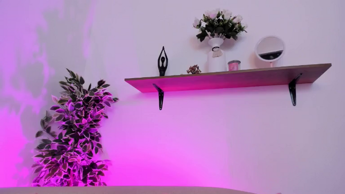GiaBonett