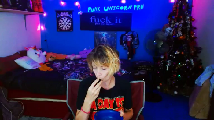 PunkUnicorn
