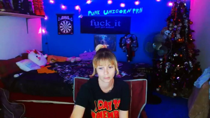 PunkUnicorn