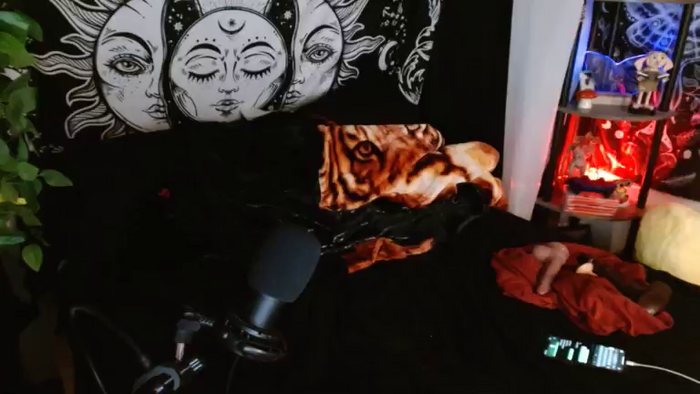 xbvamp