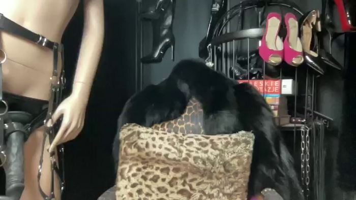 BlackxPoison