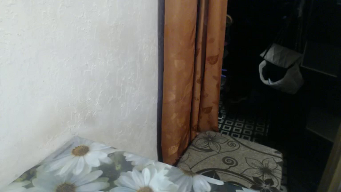 LilyDreamy