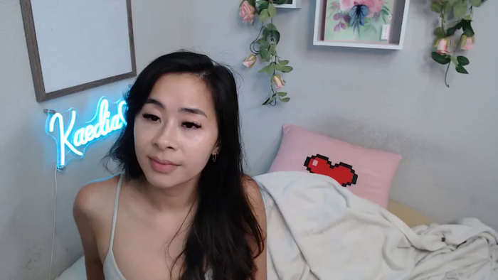 KaediaLang