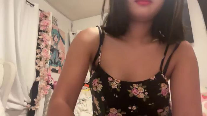 cuteshycat