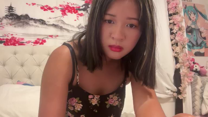 cuteshycat