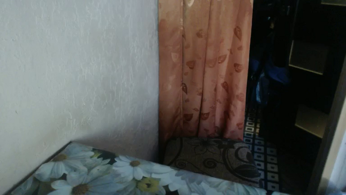 LilyDreamy