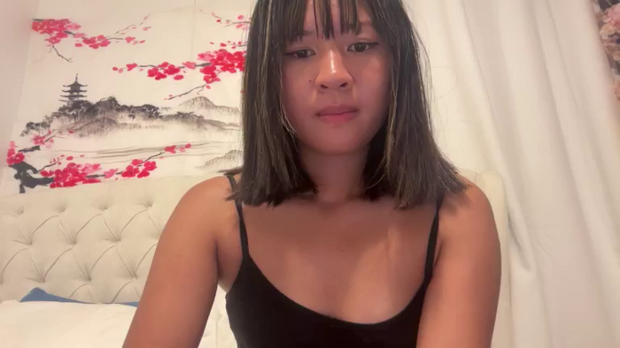 cuteshycat