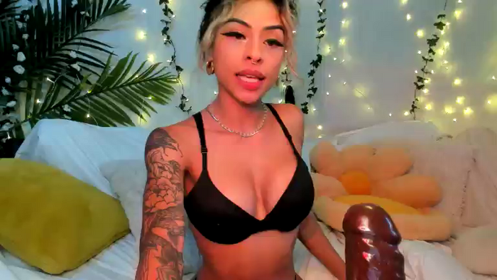 SkinnyMiniMia