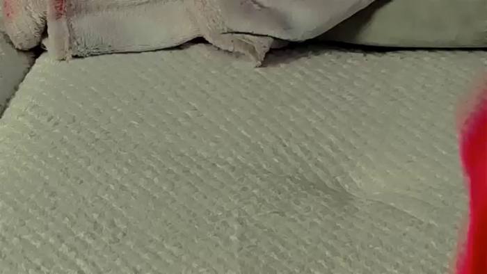 ChanelSole