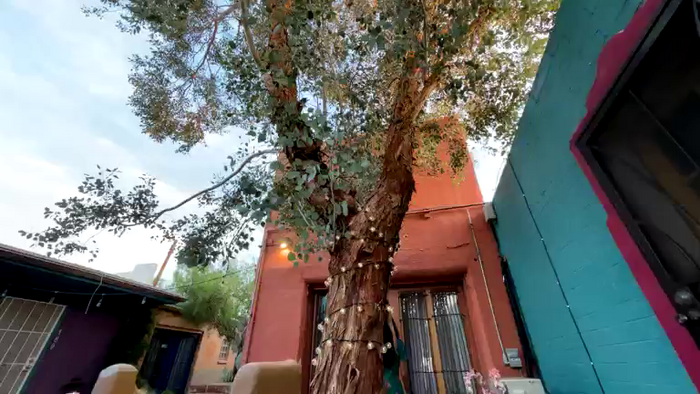 AudreyMonroeXO