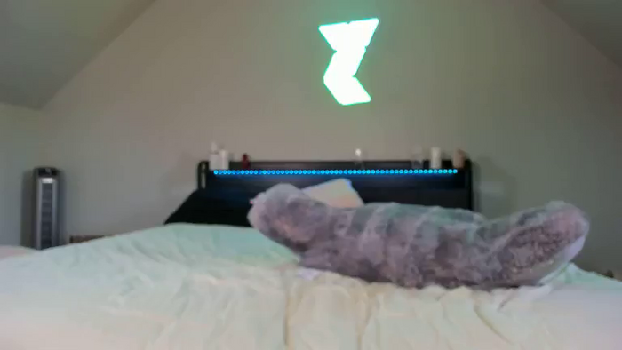 Baileyskyes