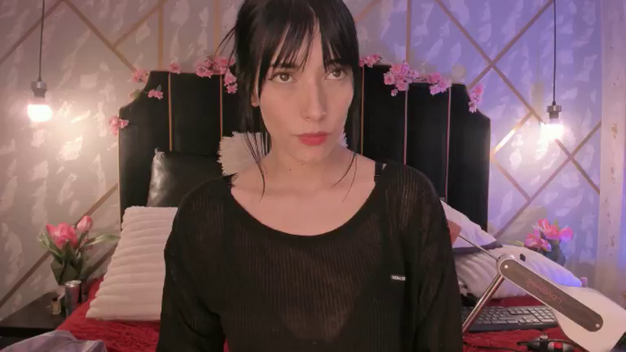VioletaParr