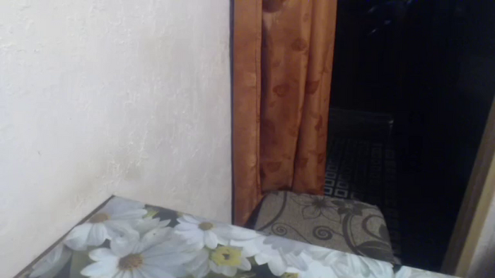 LilyDreamy