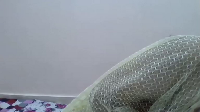 DamJS