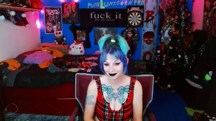 PunkUnicorn