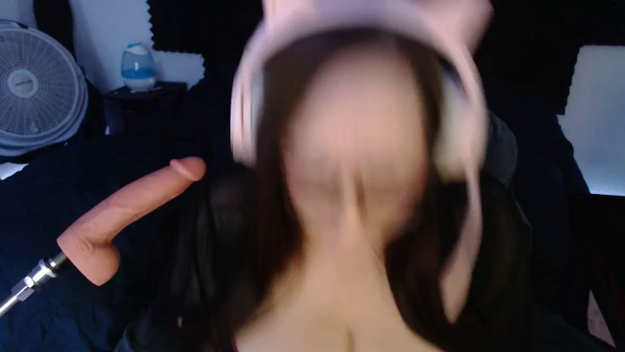 Bailey_Bunny