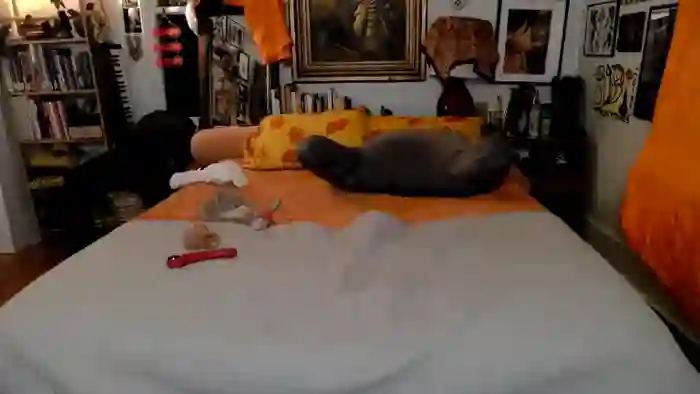 2025/01/13/streamate-eddiedean-11-59-11