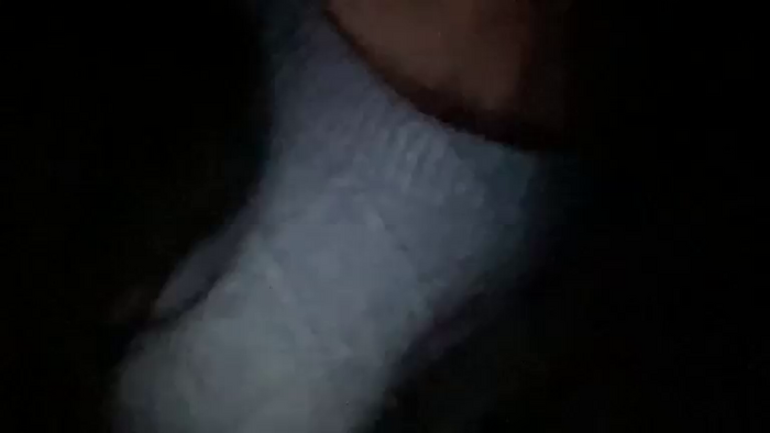 xoSandraTemplexo