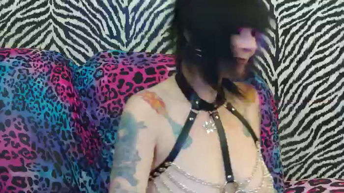 Kitty_Fox