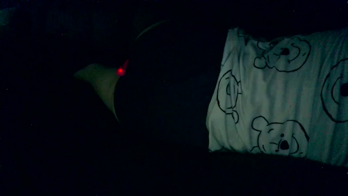RosiePeep