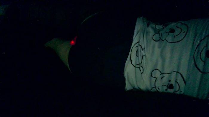 RosiePeep