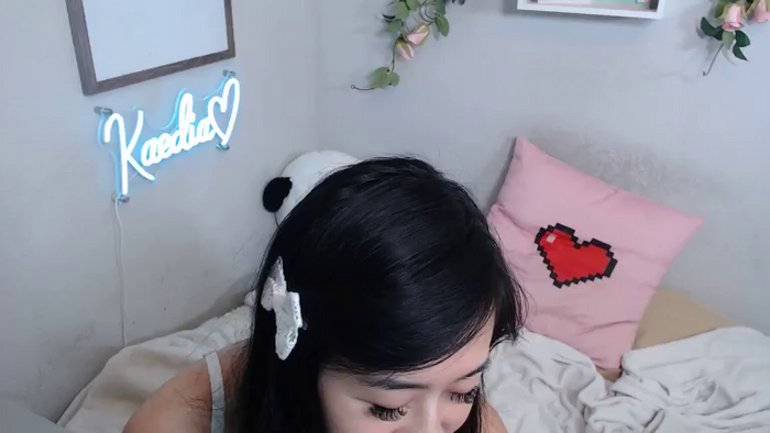 KaediaLang