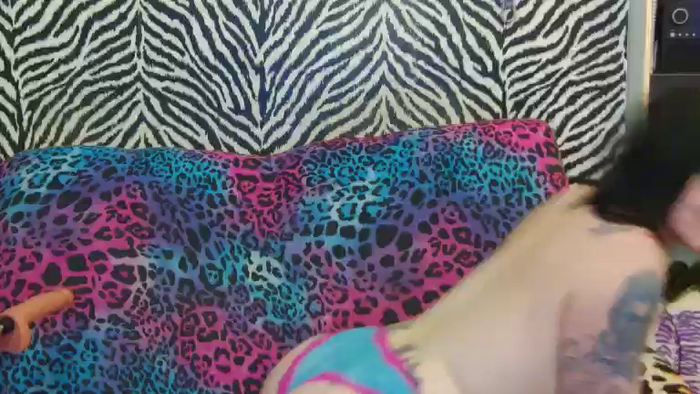 Kitty_Fox