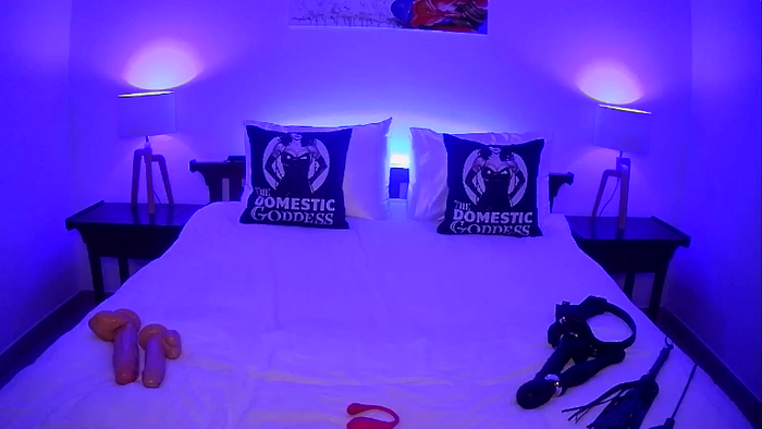 TheDomesticGoddess
