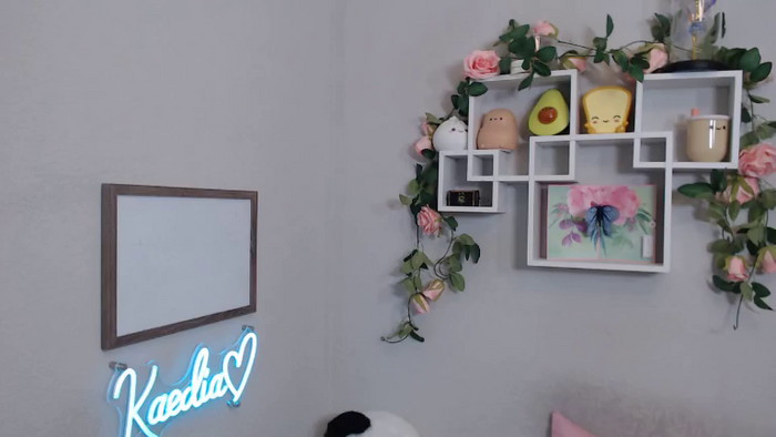 KaediaLang
